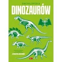 Zdjęcie produktu Encyklopedia dinozaurów Dragon