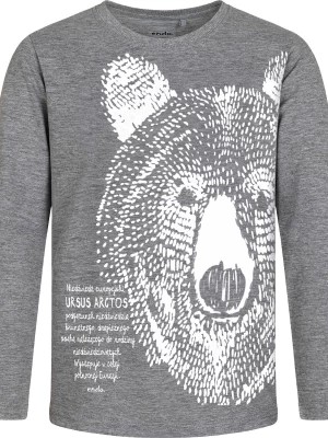 Zdjęcie produktu T-shirt z długim rękawem dla chłopca, z niedźwiedziem, szary 9-13 lat Endo