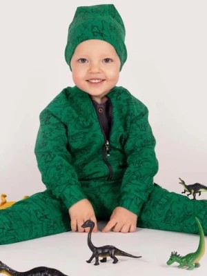 Zdjęcie produktu Zielona czapka chłopięca dzianinowa w dinozaury Nicol