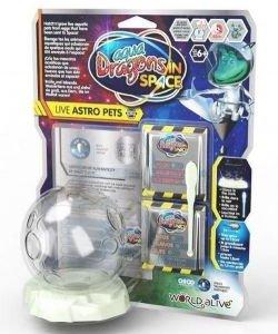 Space Dragons Zestaw podstawowy