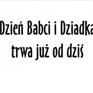 Obniżka cen z okazji Dnia Babci i Dziadka -10zł