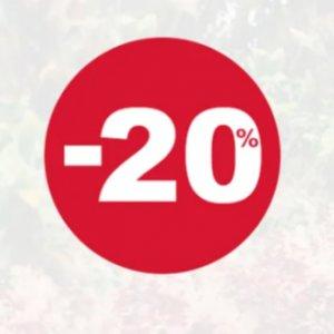 20% rabatu na nieprzecenione ubrania i buty Cool Club