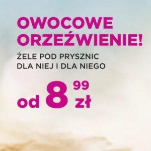 Owocowe orzeźwienie w 5.10.15 od 8,99 zł