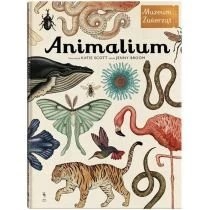 Zdjęcie produktu Animalium. Muzeum Zwierząt Dwie Siostry