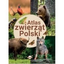 Zdjęcie produktu Atlas zwierząt Polski Omnibus