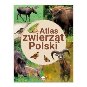 Zdjęcie produktu Atlas zwierząt Polski Omnibus
