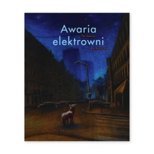 Zdjęcie produktu Awaria elektrowni Dwie siostry