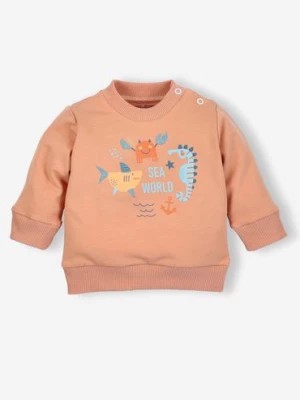 Zdjęcie produktu Bluza niemowlęca z bawełny organicznej dla chłopca NINI