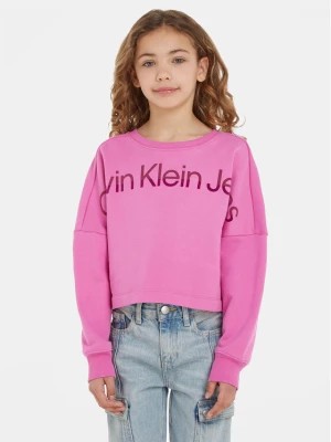 Zdjęcie produktu Calvin Klein Jeans Bluza Hero Logo IG0IG02210 Różowy Regular Fit