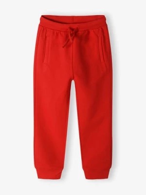 Zdjęcie produktu Czerwone dresowe spodnie dla chłopca - 5.10.15.