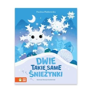 Zdjęcie produktu Dwie takie same śnieżynki Zielona sowa