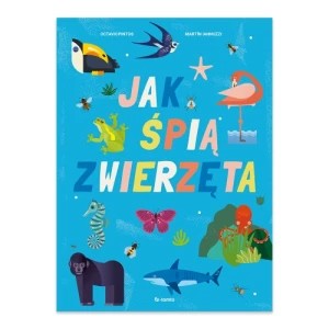 Zdjęcie produktu Jak śpią zwierzęta Totamto
