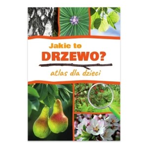 Zdjęcie produktu Jakie to drzewo? Atlas dla dzieci Sbm