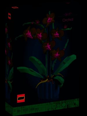 Zdjęcie produktu LEGO 10311 Icons Orchidea Lego