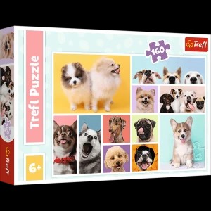 Zdjęcie produktu Psia przyjaźń