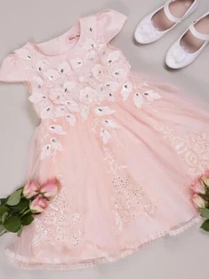 Zdjęcie produktu Różowa Sukienka z Tiulowym Dołem Ozdobiona Kwiatkami Karemia