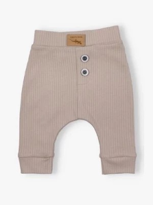 Zdjęcie produktu Spodnie niemowlęce z dzianiny prążkowej - niebieskie - Lagarto Verde