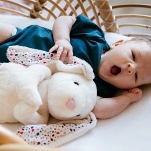 Zdjęcie produktu Whisbear - Szumiący Króliś Felcia