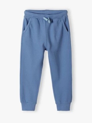 Zdjęcie produktu Wygodne spodnie dresowe dla chłopca z bawełny- niebieskie 5.10.15.