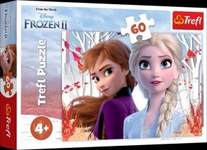Zdjęcie produktu Zaczarowany świat Anny i Elsy