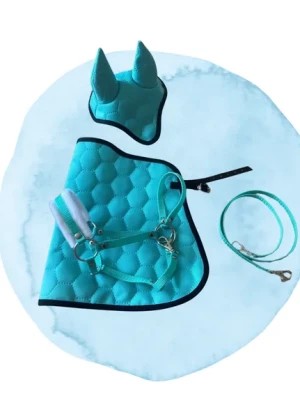 Zdjęcie produktu ZESTAW HOBBY HORSE A3