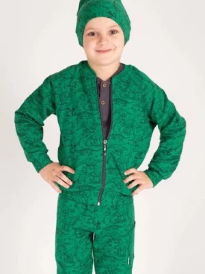 Zdjęcie produktu Zielona bluza dresowa chłopięca rozpinana w dinozaury Nicol