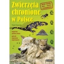 Zdjęcie produktu Zwierzęta chronione w Polsce/n/ Publicat