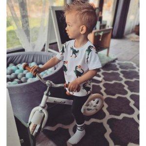 Koszulka dla chłopca, biała, Dino roller skater Fluffy -50%
