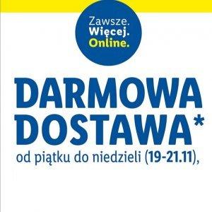 Darmowa dostawa w Lidlu Online