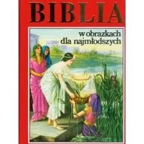 Zdjęcie produktu Biblia w obrazkach dla najmłodszych Opoka
